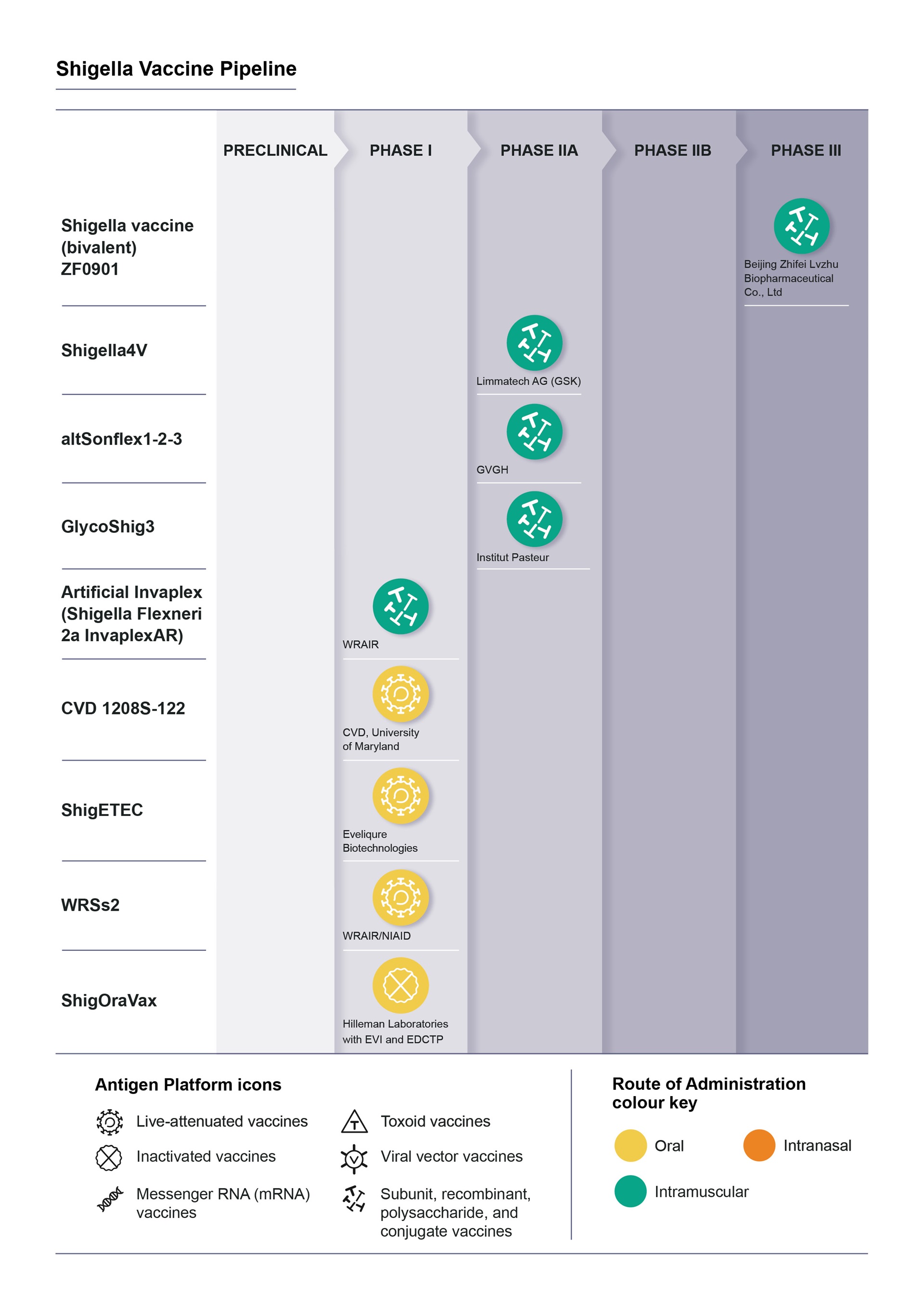 Diagram Shigella - WHO IVB