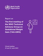 TAG-GWG first meeting report publication cover
