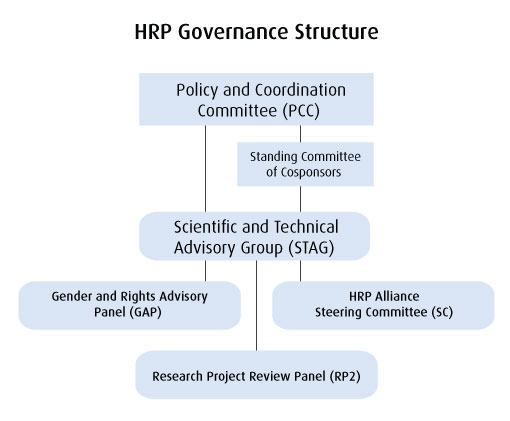 Organigram of HRP
