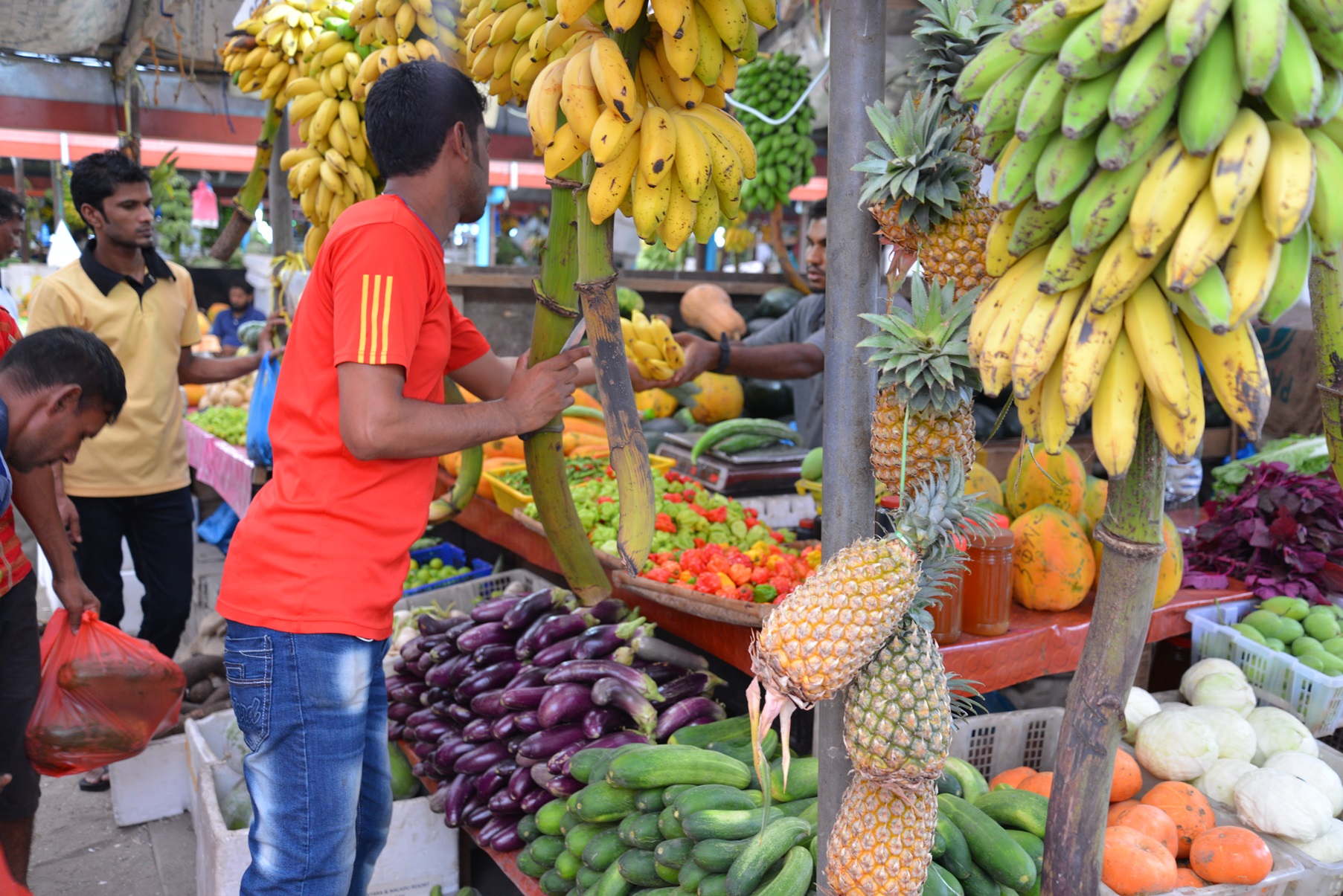 Vegetable market_Male Food Safety home