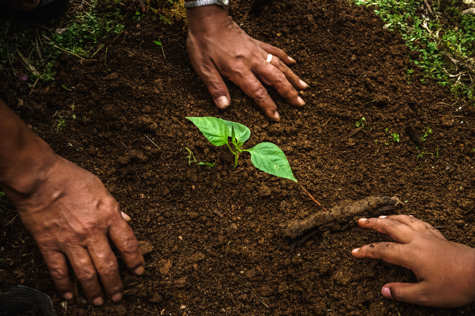 Asian pacific forum on health and the environment